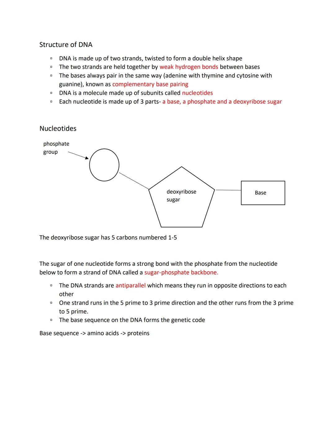 Structure of DNA revision
