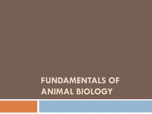 Know Fundamentals of Animal Biology thumbnail