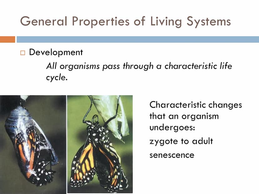 FUNDAMENTALS OF
ANIMAL BIOLOGY Zoology
The scientific study of animal life
Attempt to solve the mysteries of animal life and its
origin.
- d