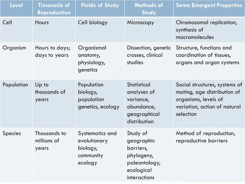FUNDAMENTALS OF
ANIMAL BIOLOGY Zoology
The scientific study of animal life
Attempt to solve the mysteries of animal life and its
origin.
- d