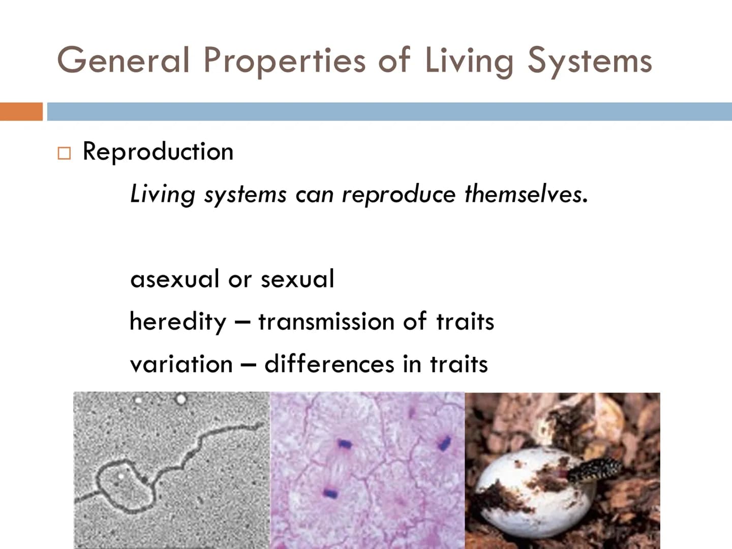 FUNDAMENTALS OF
ANIMAL BIOLOGY Zoology
The scientific study of animal life
Attempt to solve the mysteries of animal life and its
origin.
- d