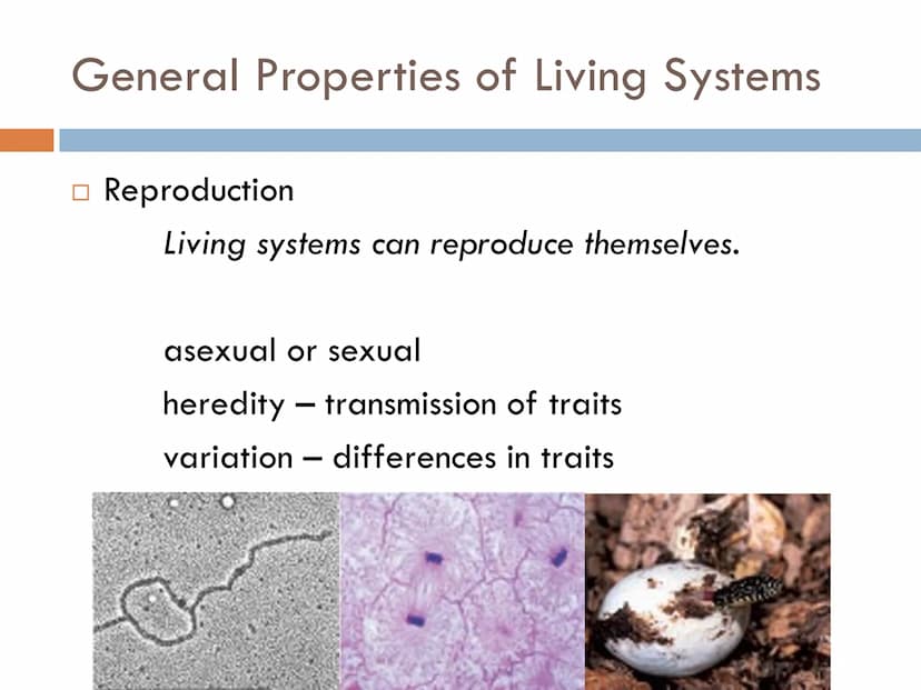 FUNDAMENTALS OF
ANIMAL BIOLOGY Zoology
The scientific study of animal life
Attempt to solve the mysteries of animal life and its
origin.
- d