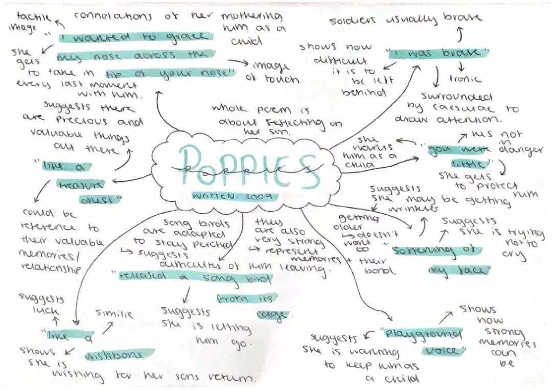 Poppies - quotes and annotations