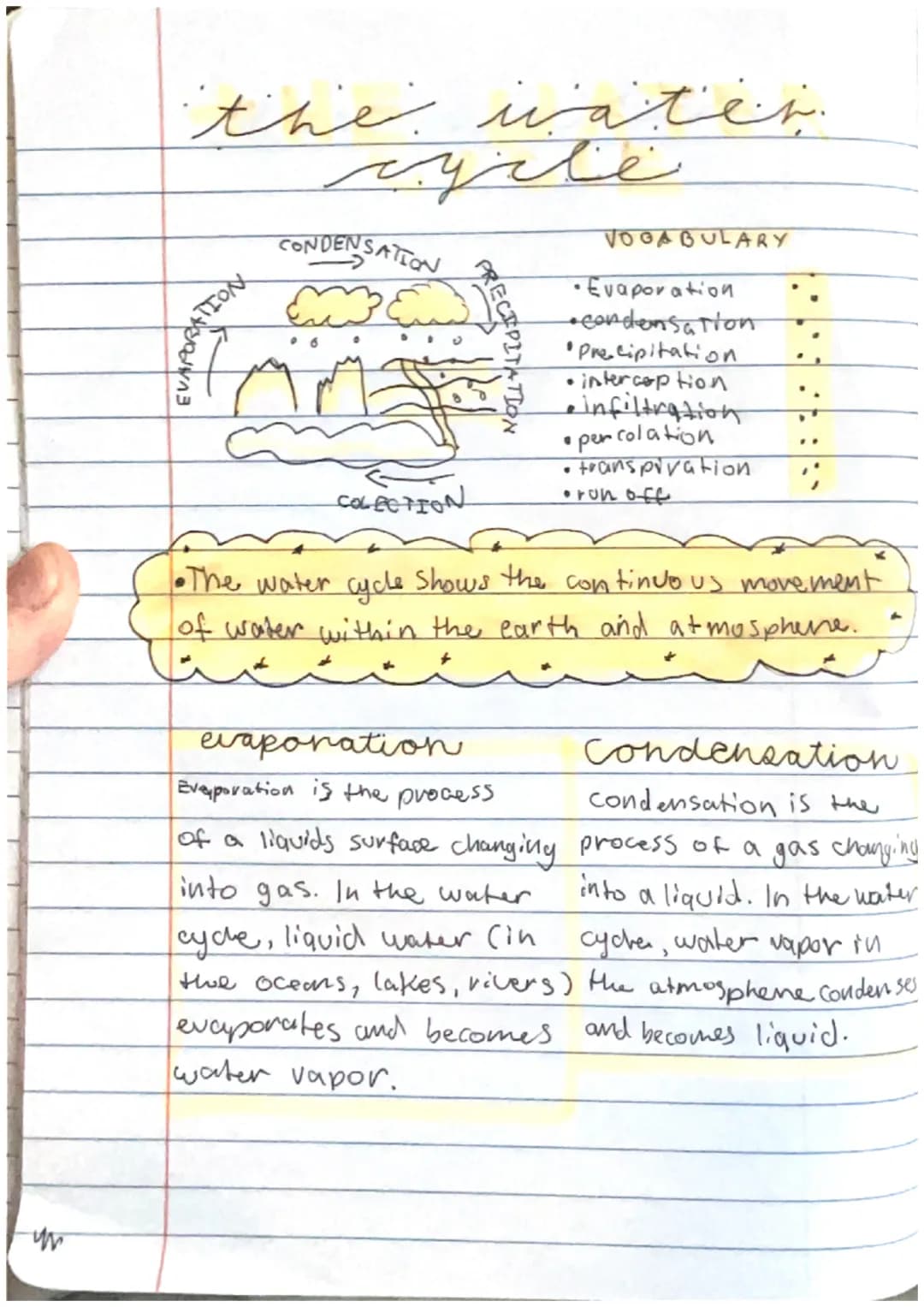 Fun Steps of the Water Cycle: Evaporation, Condensation, and How Rain Soaks into the Ground