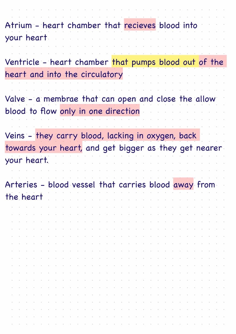 The Heart
The heart is made out of cardia muscle.
It is a double pump that squeezes the blood around the
body and to the lungs.
The right si