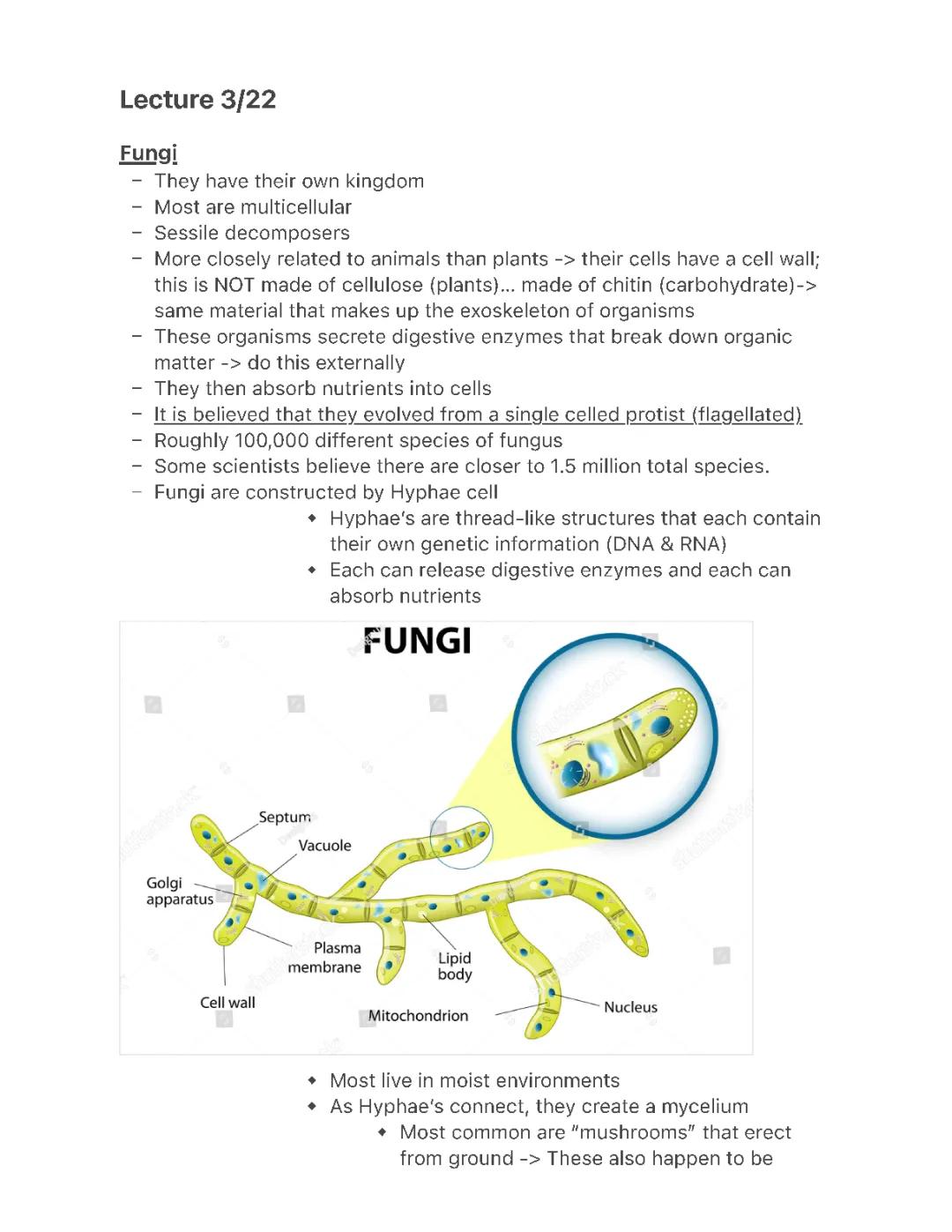 Fungi Lecture Notes