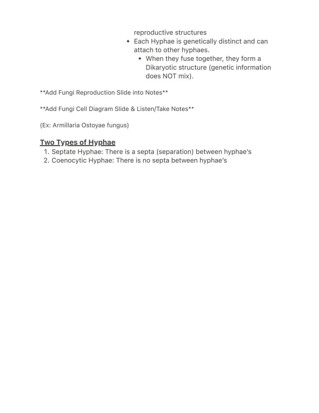 Lecture 3/22
Fungi
-
They have their own kingdom
Most are multicellular
- Sessile decomposers
- More closely related to animals than plants 
