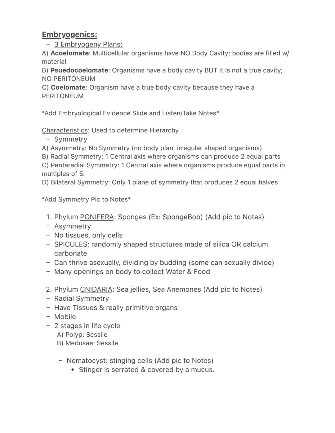 Lecture 3/22
Fungi
-
They have their own kingdom
Most are multicellular
- Sessile decomposers
- More closely related to animals than plants 