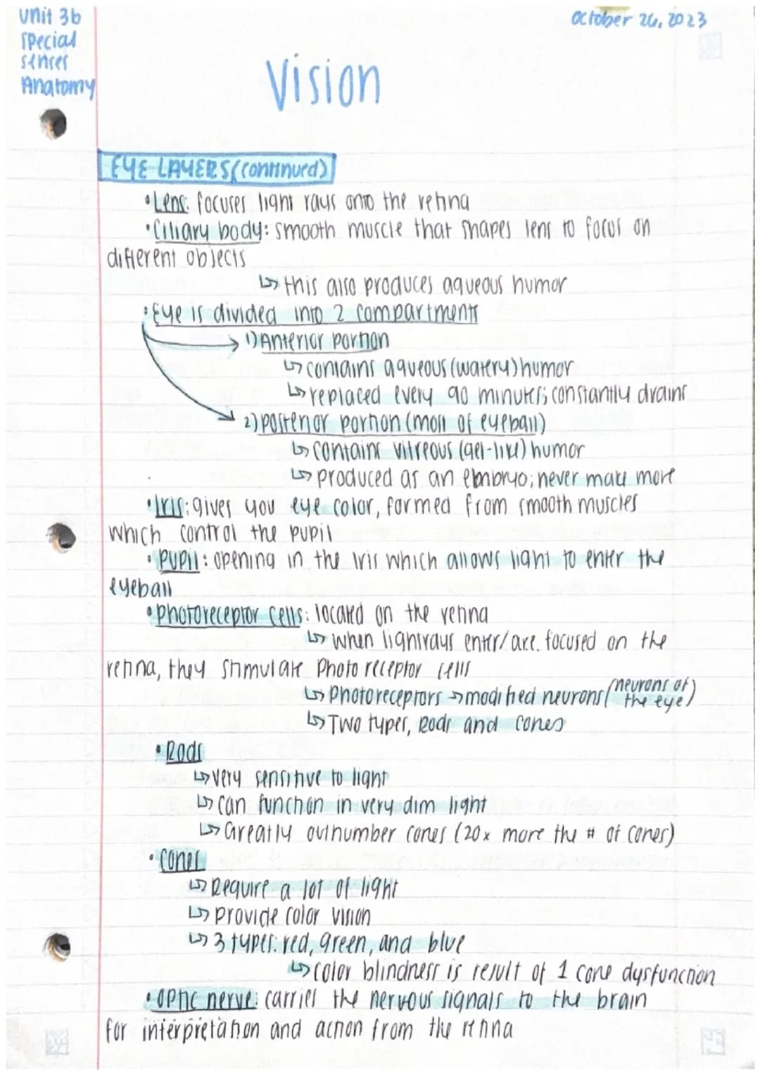 Unit 3b
Anatomy
ANATOMY
OF THE Posterior
પદ
Lens
Pupil
Anterior chamber
Cornea
VISION DIAGRAMS
Special senses
CONES
RODS
image
projection
Ac