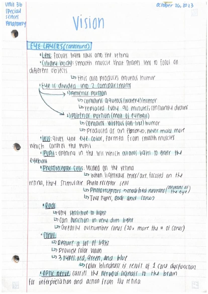 Unit 3b
Anatomy
ANATOMY
OF THE Posterior
પદ
Lens
Pupil
Anterior chamber
Cornea
VISION DIAGRAMS
Special senses
CONES
RODS
image
projection
Ac