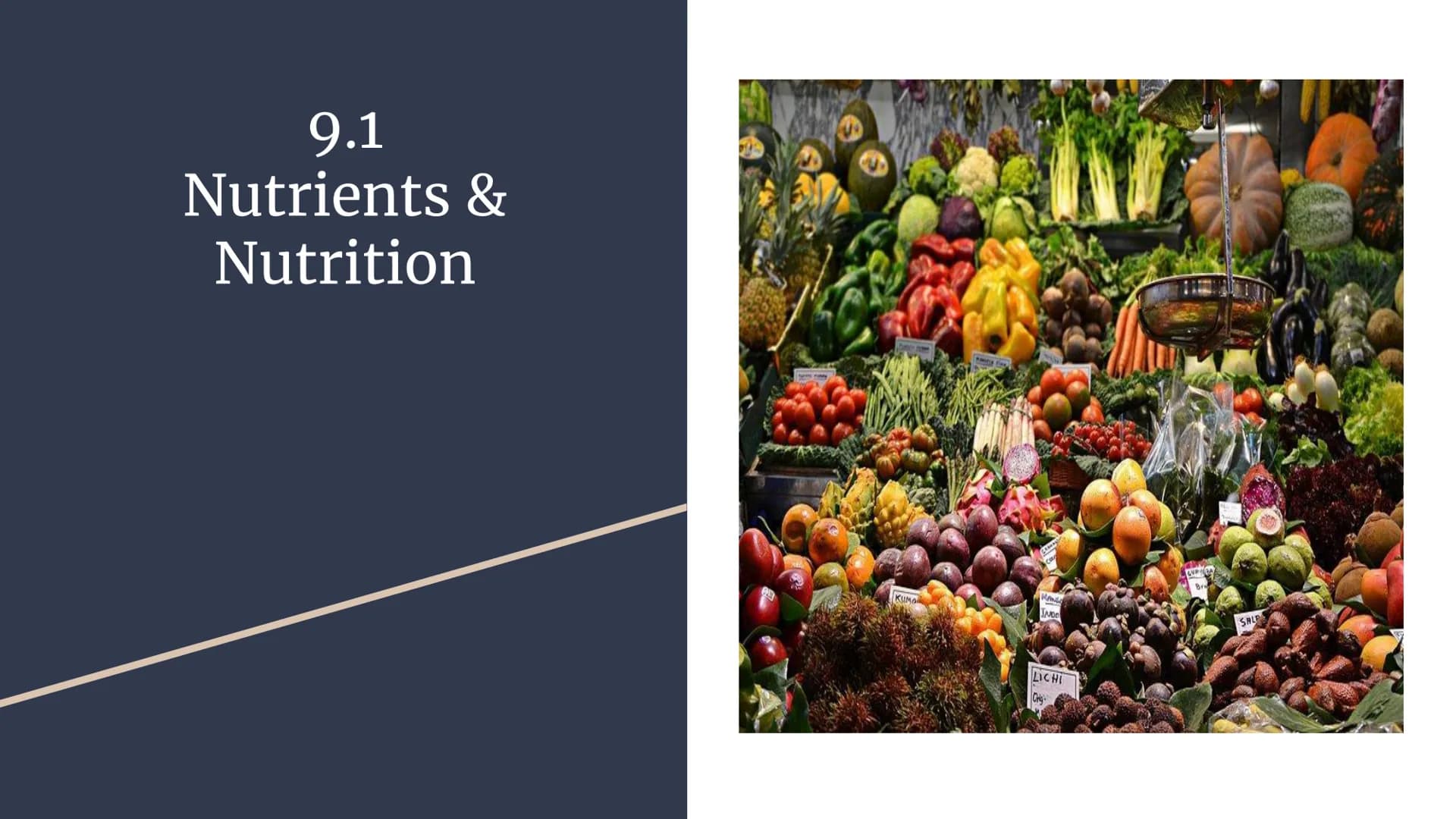 Nutrition & Digestion
Chapter 9 notes 9.1
Nutrients &
Nutrition
KUMO
RANG
NDO
SALP
LICHI
Orig Metabolism- chemical processes of life
Nutrien
