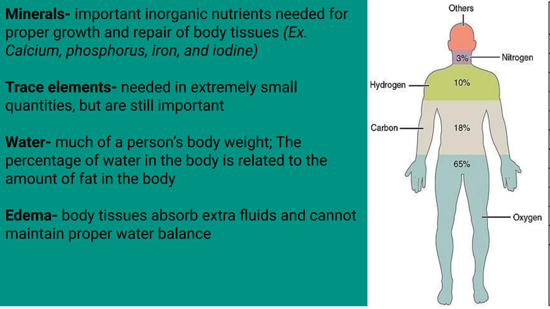 Nutrition & Digestion
Chapter 9 notes 9.1
Nutrients &
Nutrition
KUMO
RANG
NDO
SALP
LICHI
Orig Metabolism- chemical processes of life
Nutrien