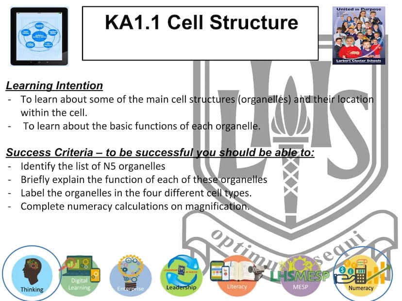 Starter
Answer the following questions in your jotter:
1.Draw and label an animal cell.
2.Draw and label a plant cell.
3. Extension - give a