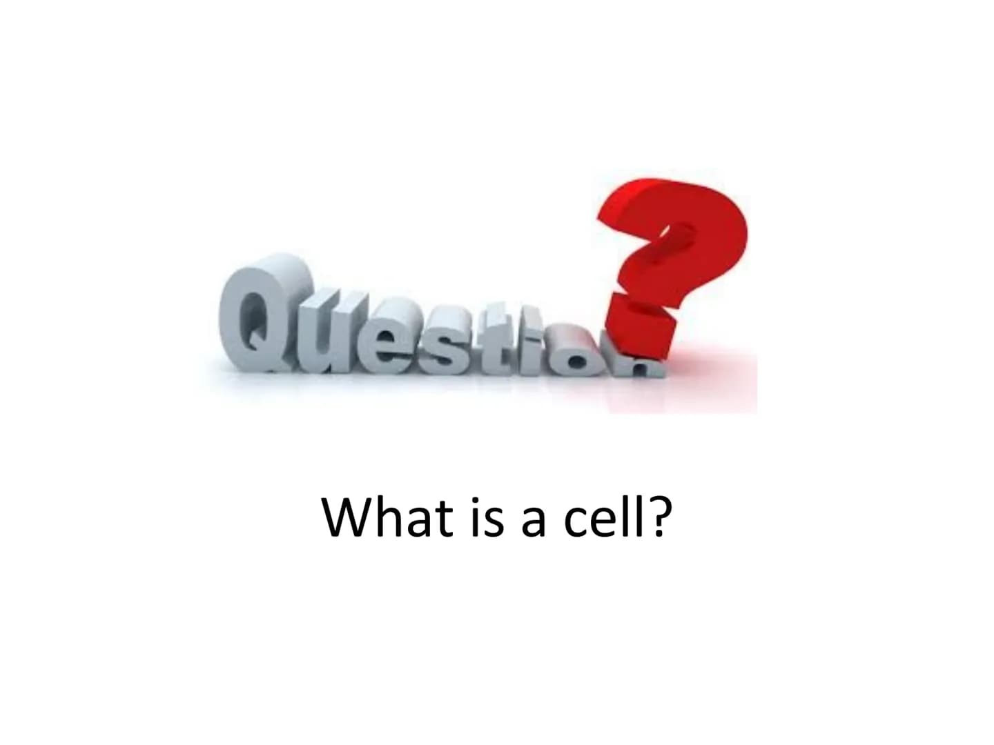 Starter
Answer the following questions in your jotter:
1.Draw and label an animal cell.
2.Draw and label a plant cell.
3. Extension - give a