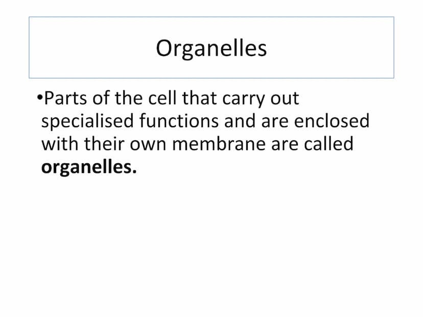 Starter
Answer the following questions in your jotter:
1.Draw and label an animal cell.
2.Draw and label a plant cell.
3. Extension - give a