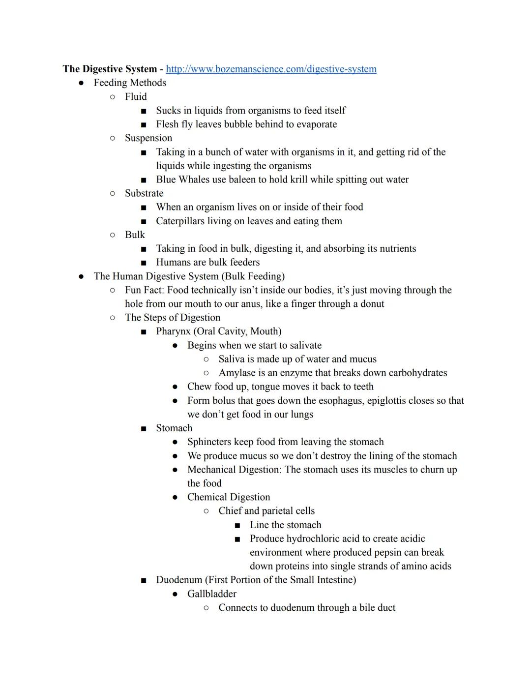 Bozeman Science: The Digestive System Notes