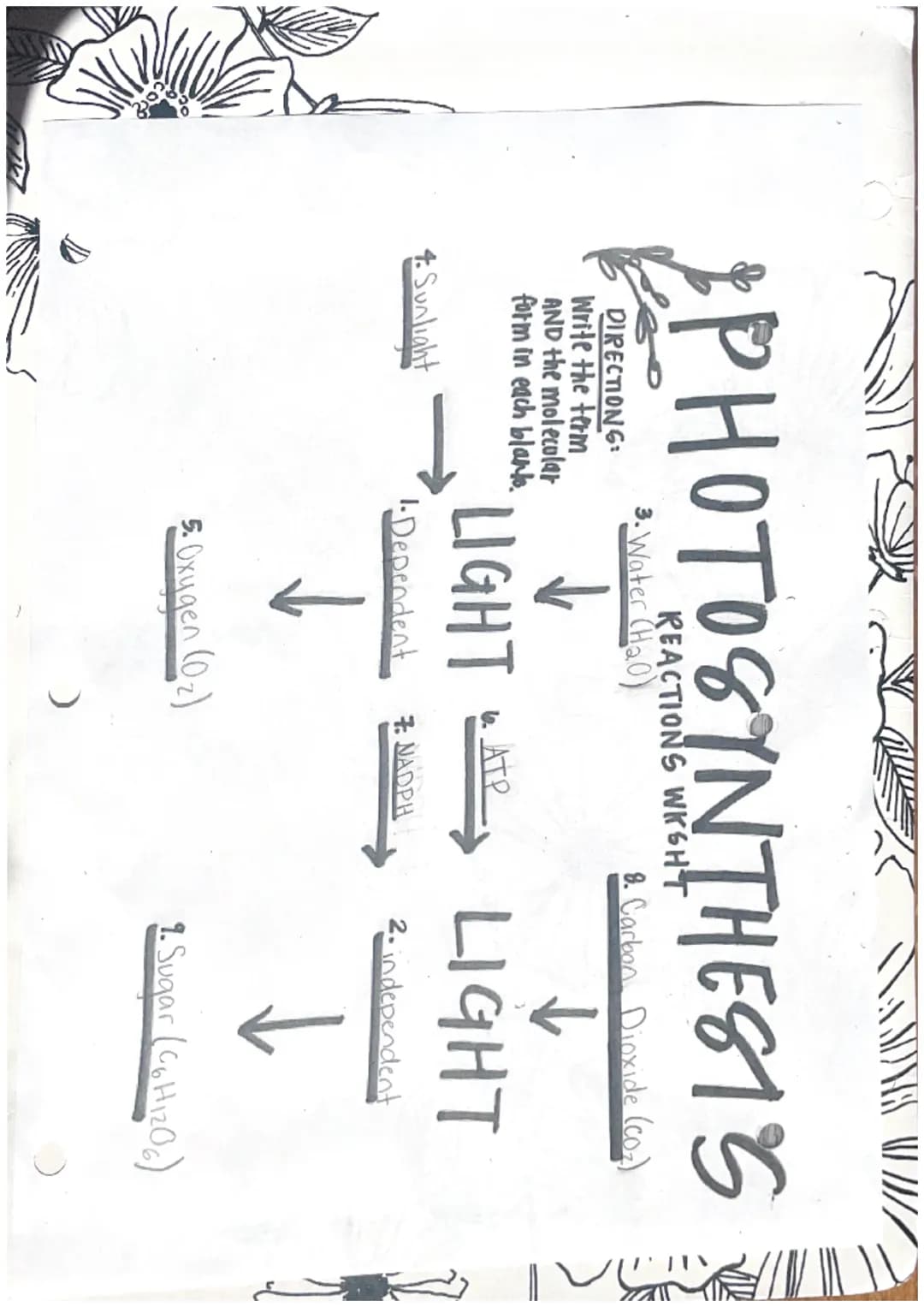 PHOTOSYNTHESIS
REACTIONS WKSHT
DIRECTIONS:
Write the term
AND the molecular
form in each blank.
4. Sunlight
3. Water (H₂0)
5. Oxygen (0₂)
NA