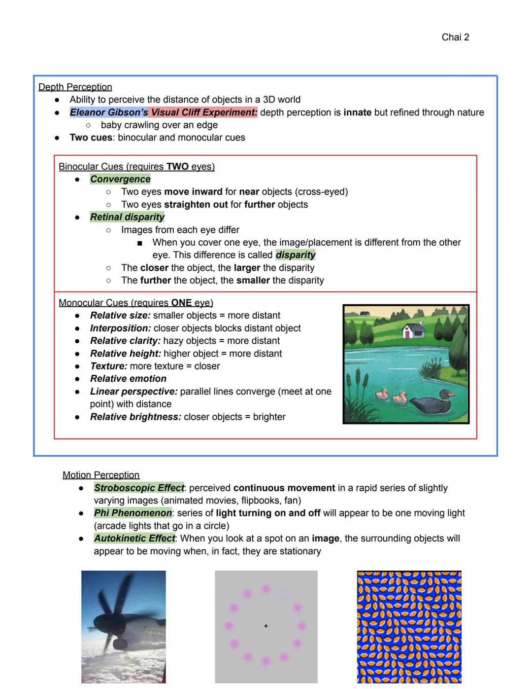 Unit 3: Sensation and Perception (6-8%)
3A: Sensation and Perception
Sensation: the process by which our sensory receptors and nervous syste