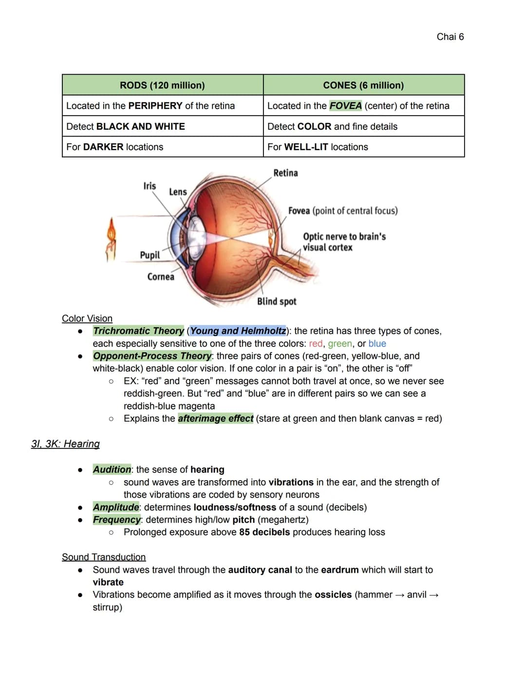 Unit 3: Sensation and Perception (6-8%)
3A: Sensation and Perception
Sensation: the process by which our sensory receptors and nervous syste