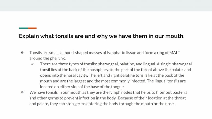 Chapter 12 Lesson Objectives
By: Arshi Maniar, Shreya Arul 12.1 Lesson Objectives Explain the two primary functions of the lymphatic system.