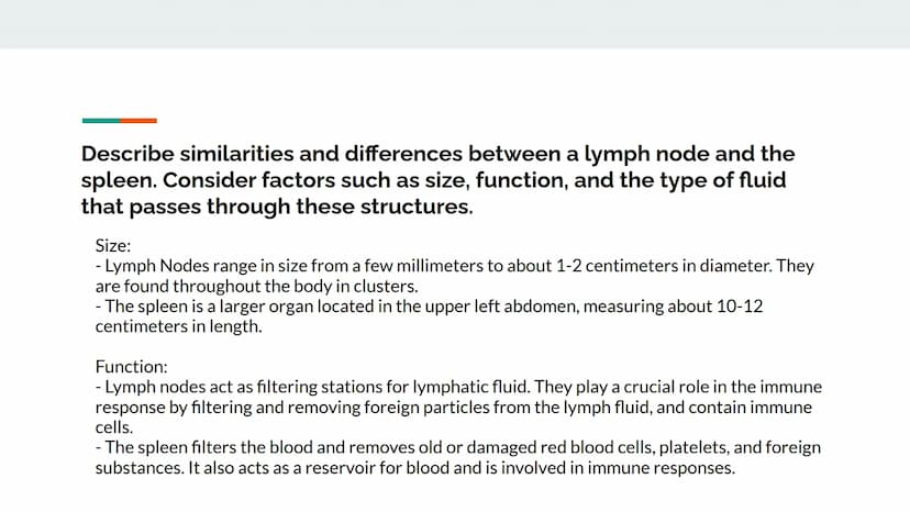 Chapter 12 Lesson Objectives
By: Arshi Maniar, Shreya Arul 12.1 Lesson Objectives Explain the two primary functions of the lymphatic system.