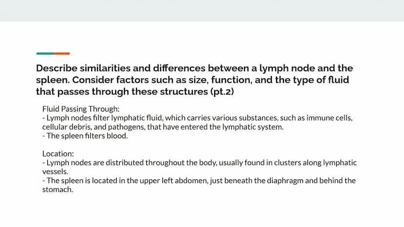 Chapter 12 Lesson Objectives
By: Arshi Maniar, Shreya Arul 12.1 Lesson Objectives Explain the two primary functions of the lymphatic system.
