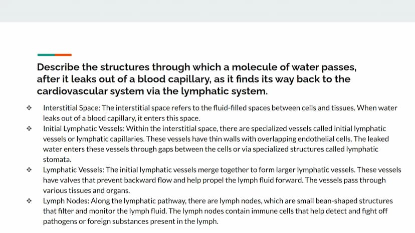 Chapter 12 Lesson Objectives
By: Arshi Maniar, Shreya Arul 12.1 Lesson Objectives Explain the two primary functions of the lymphatic system.