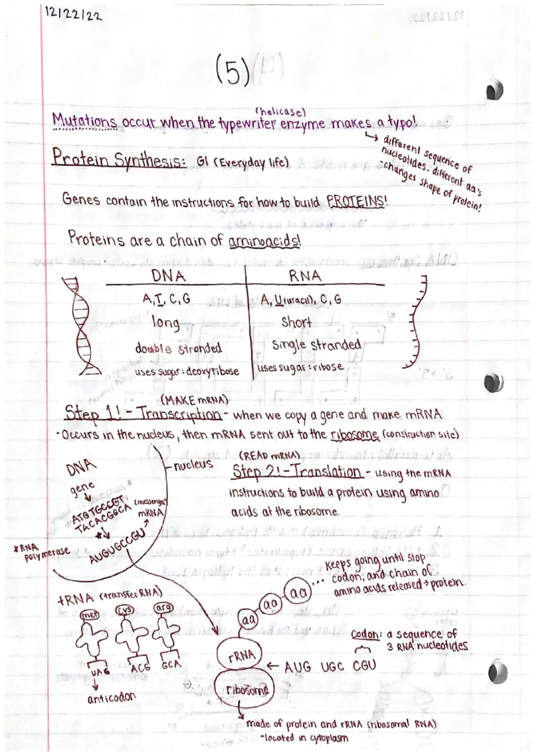 Natalie Ho
Genetics 2 Study Guide
Sex linked disorders and related disorders: "X-linked"
Females: XX
23 pairs of chromosomes:
-22 pairs are 