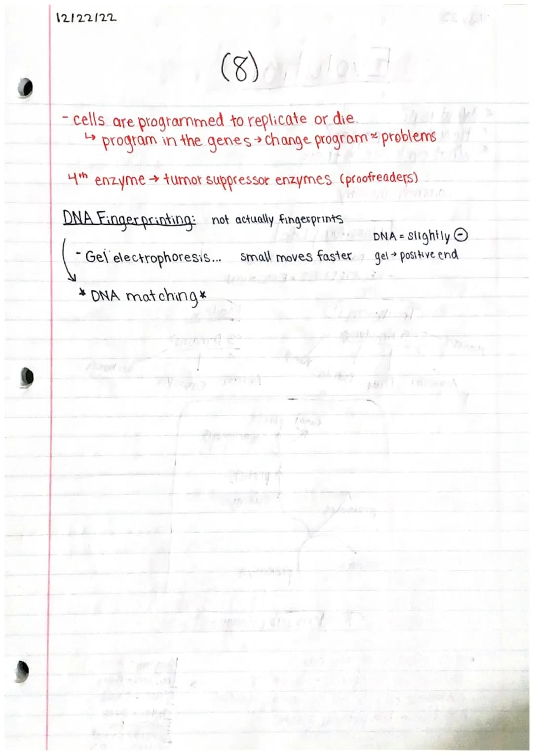 Natalie Ho
Genetics 2 Study Guide
Sex linked disorders and related disorders: "X-linked"
Females: XX
23 pairs of chromosomes:
-22 pairs are 