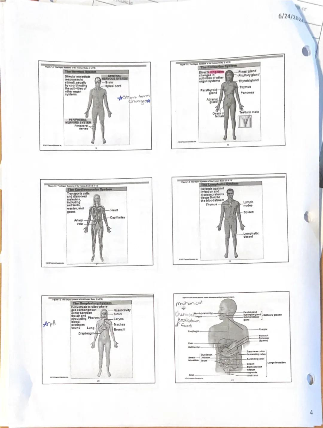 # Unit 1: An Introduction to Anatomy and Physiology

1. Introduction

Organisms appear in a wide variety of appearances and
lifestyles, but 