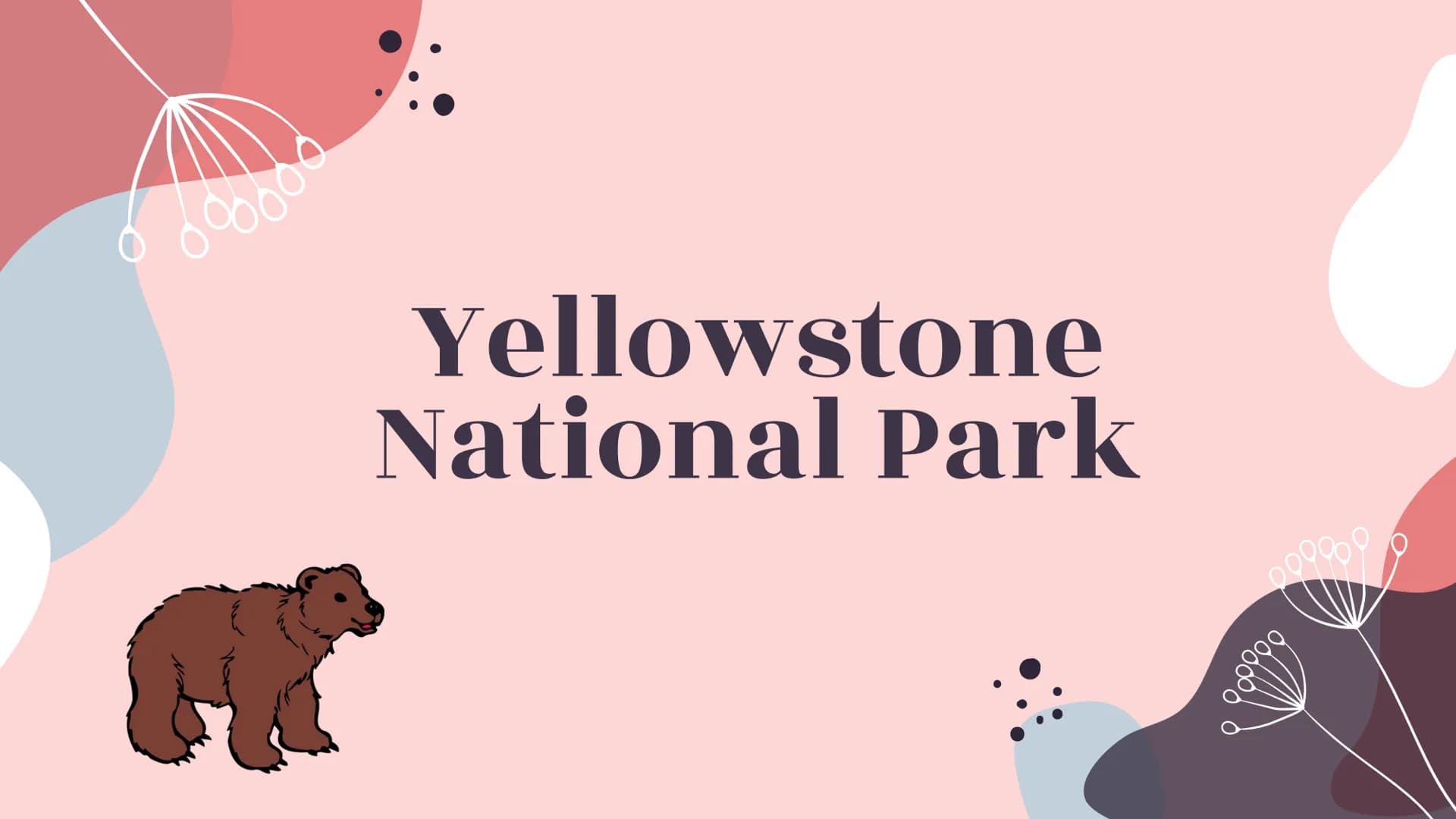 6000
Yellowstone
National Park
099800
oooooo About Yellowstone
First National Park
Half of all the world's known geothermal features
● World