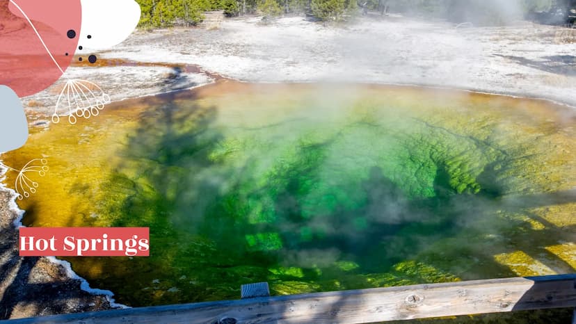 6000
Yellowstone
National Park
099800
oooooo About Yellowstone
First National Park
Half of all the world's known geothermal features
● World