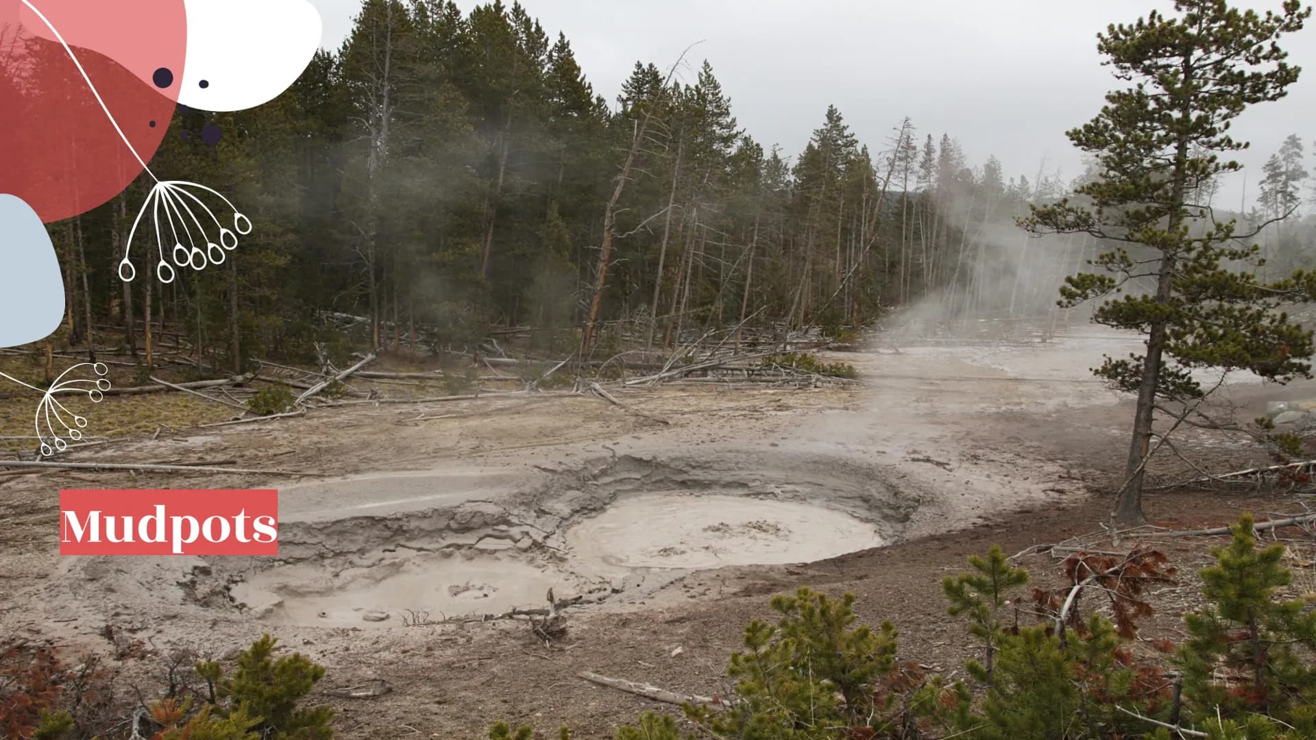 6000
Yellowstone
National Park
099800
oooooo About Yellowstone
First National Park
Half of all the world's known geothermal features
● World