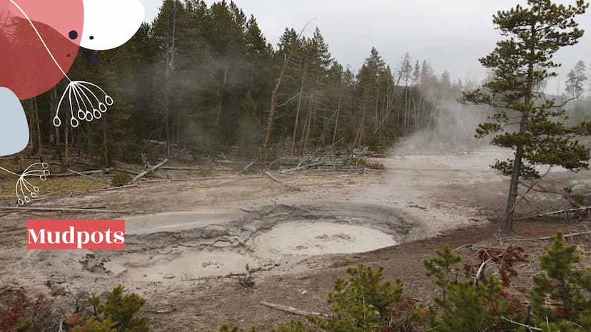6000
Yellowstone
National Park
099800
oooooo About Yellowstone
First National Park
Half of all the world's known geothermal features
● World