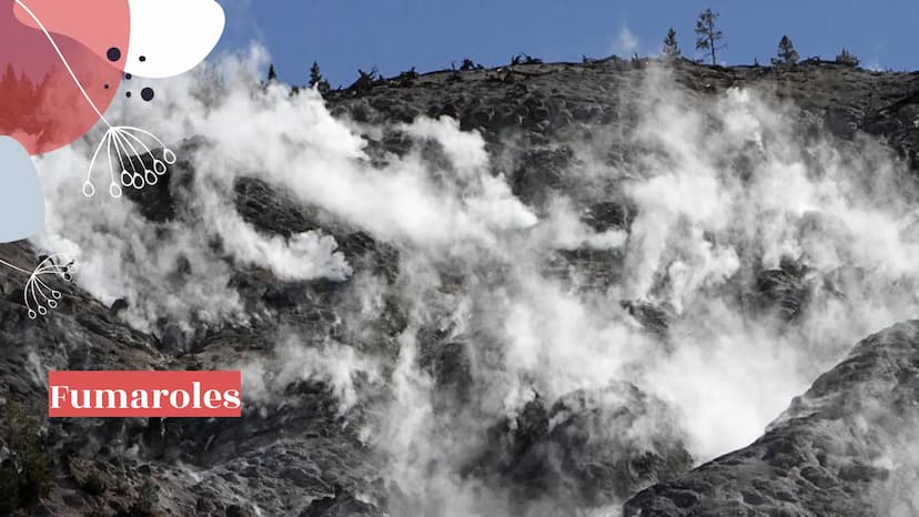 6000
Yellowstone
National Park
099800
oooooo About Yellowstone
First National Park
Half of all the world's known geothermal features
● World
