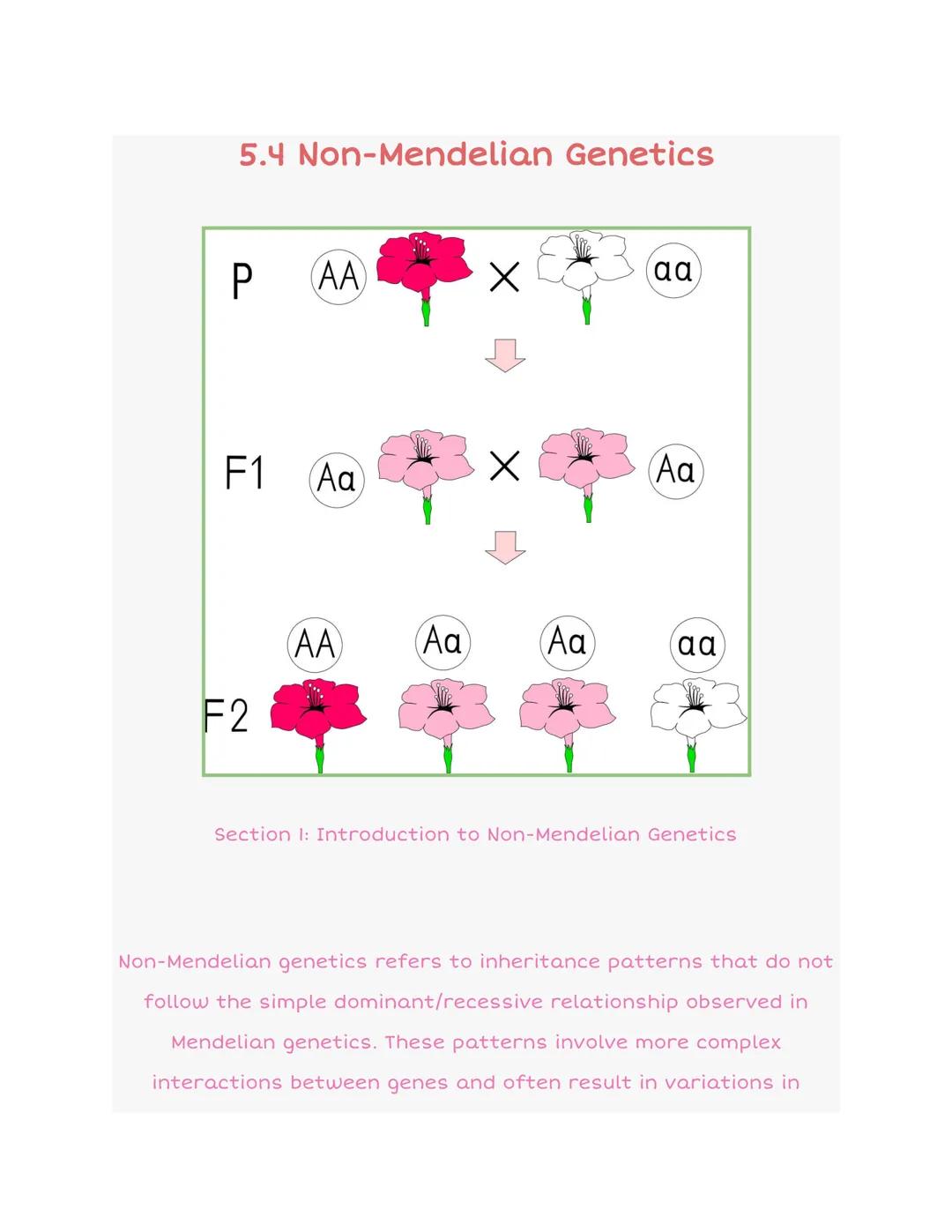 5.4 Non-Mendelian Genetics