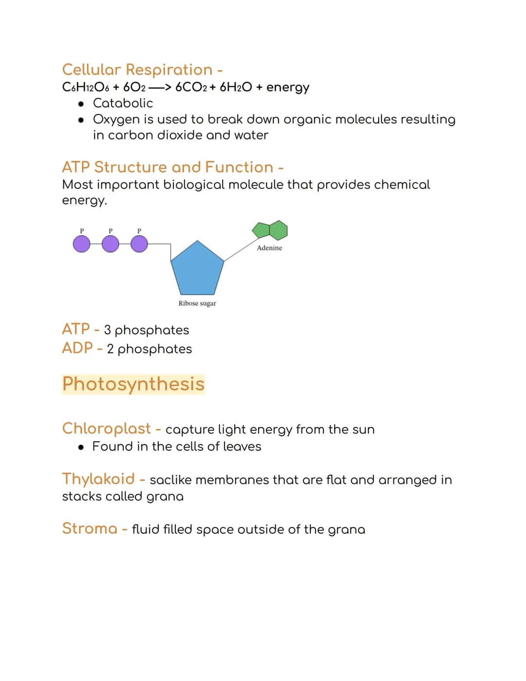 
<p>The first law of thermodynamics states that energy cannot be created or destroyed. The second law of thermodynamics states that energy c