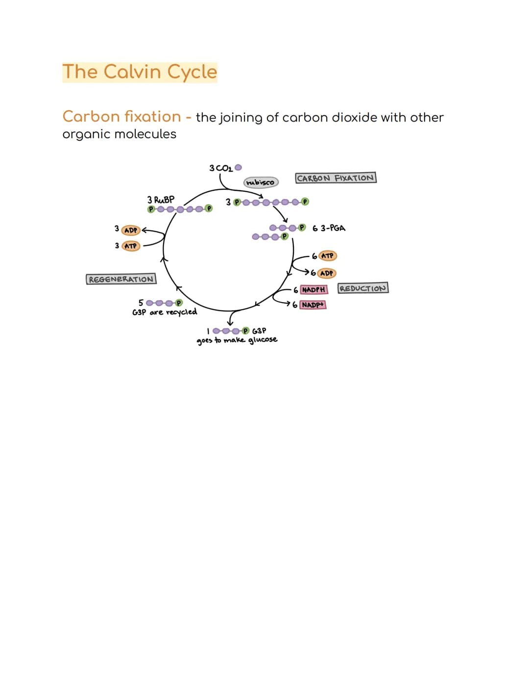 
<p>The first law of thermodynamics states that energy cannot be created or destroyed. The second law of thermodynamics states that energy c