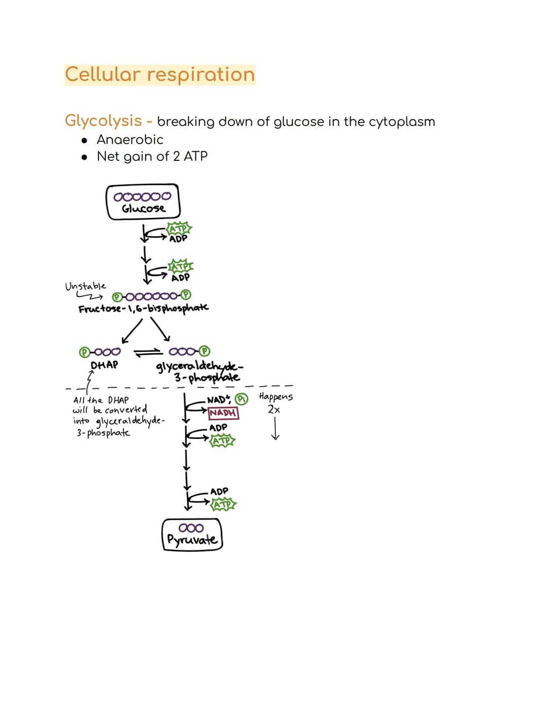 
<p>The first law of thermodynamics states that energy cannot be created or destroyed. The second law of thermodynamics states that energy c