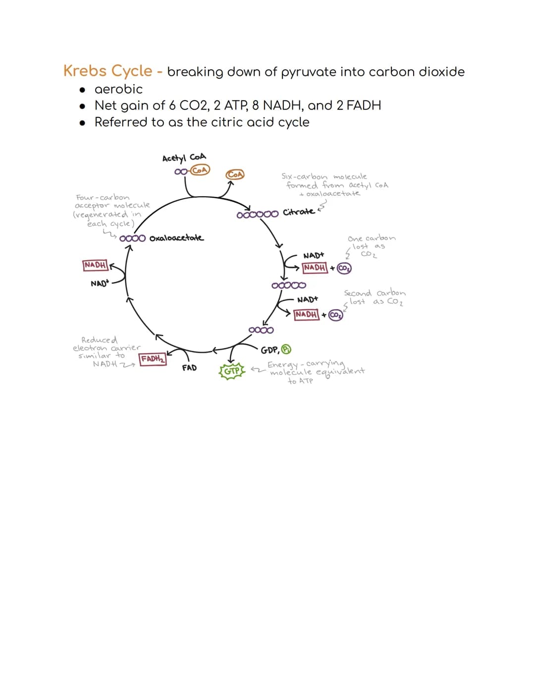 
<p>The first law of thermodynamics states that energy cannot be created or destroyed. The second law of thermodynamics states that energy c