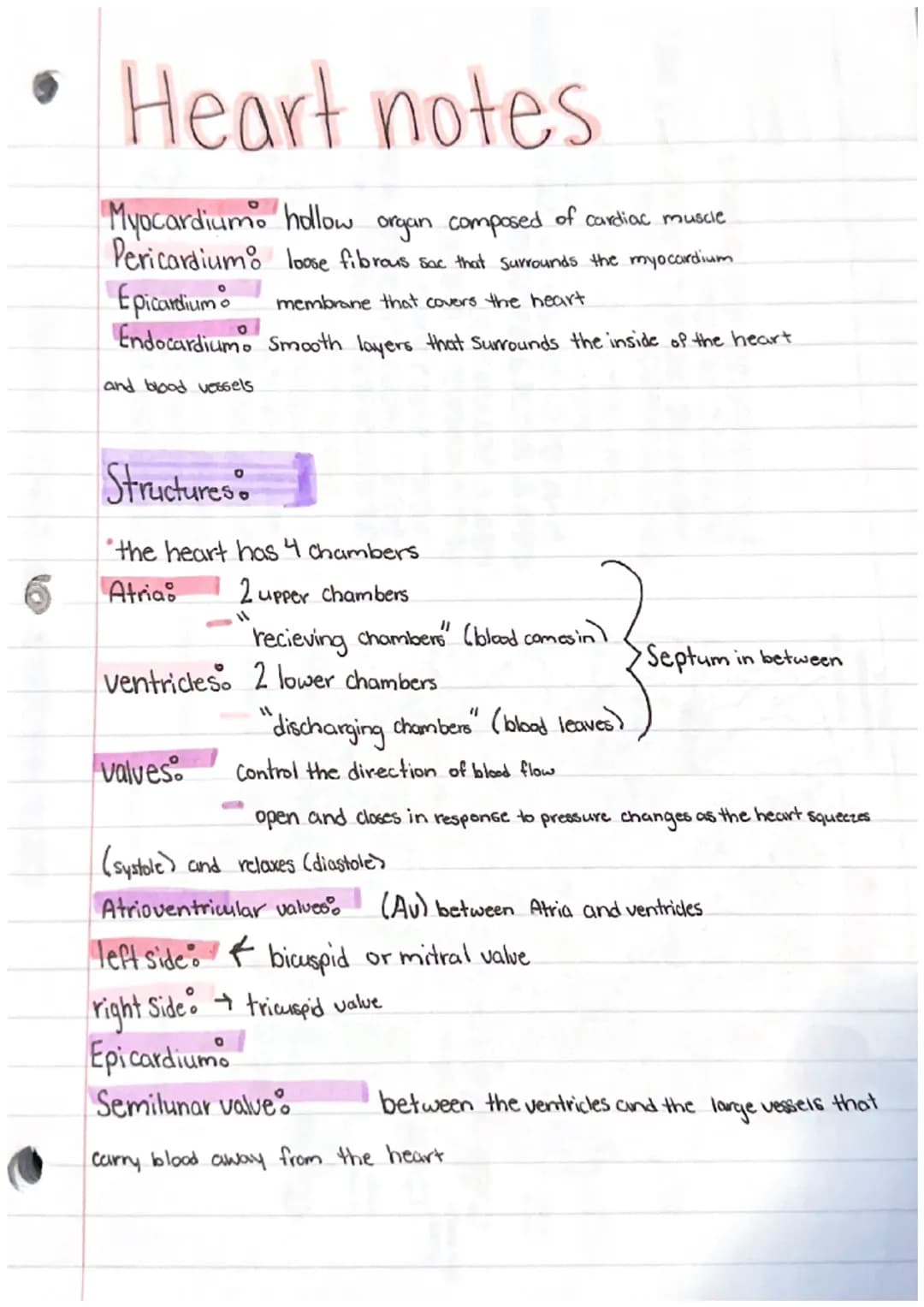 Heart notes
Myocardium hollow
of cardiac muscle
organ composed
Pericardium loose fibrous sac that surrounds the myocardium
Epicardium
membra