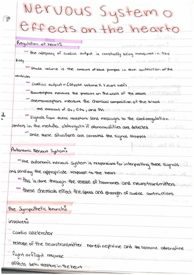 Heart notes
Myocardium hollow
of cardiac muscle
organ composed
Pericardium loose fibrous sac that surrounds the myocardium
Epicardium
membra