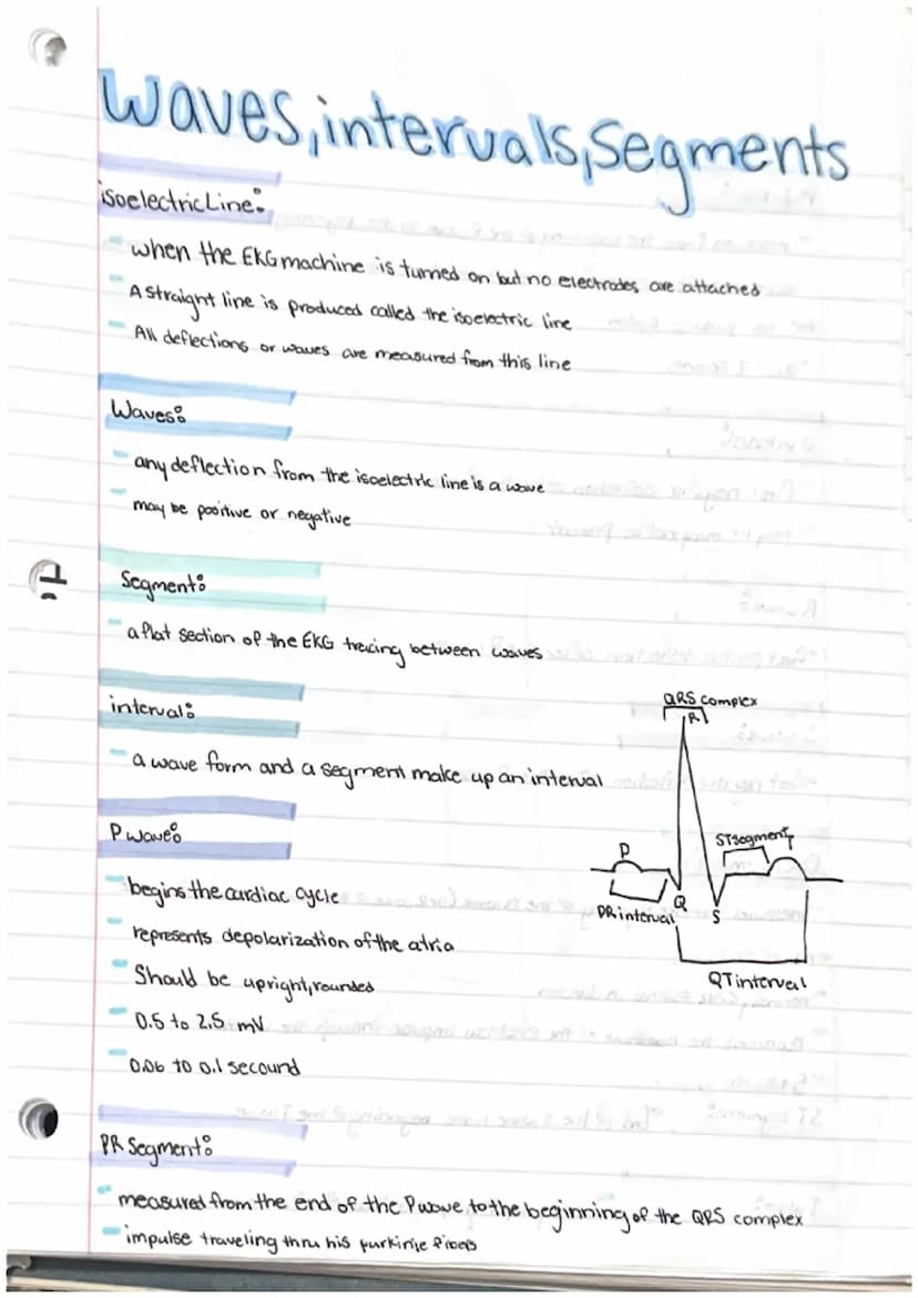 Heart notes
Myocardium hollow
of cardiac muscle
organ composed
Pericardium loose fibrous sac that surrounds the myocardium
Epicardium
membra