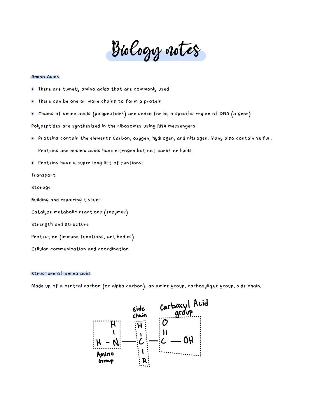 Understanding Protein Structure and Peptide Bonds, Enzymes and Chemical Reactions