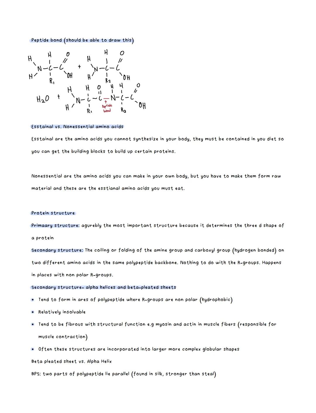 Amino Acids:
●
There are twnety amino acids that are commonly used
There can be one or more chains to form a protein
Chains of amino acids (