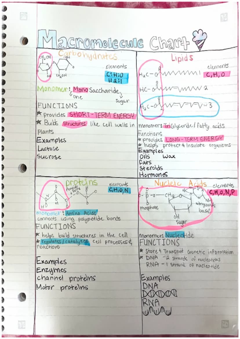Biology
Organic Chemistry
unit a
WHAT IS ORGANIC CHEMISTRY?
*Organic Chemistry is the study of all compounds that
have bonds with carbon ato