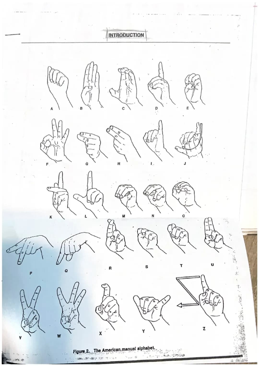 Learn ASL: Finger Spelling, Sentences, and Deaf Culture!
