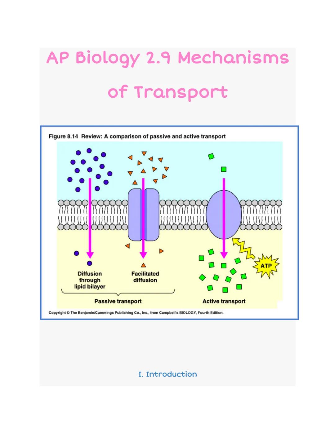 2.9 Mechanisms of Transport