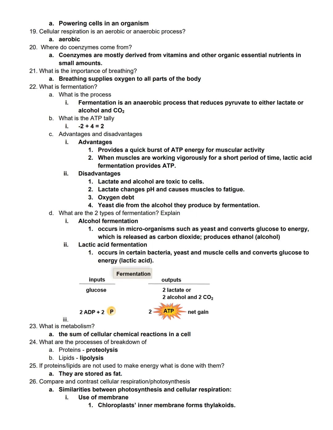 BIOL 1406 CH 8 Cellular Respiration Outline
Quick Outline
8.1 Overview of Cellular Respiration
8.2 Outside the Mitochondria: Glycolysis
8.3 