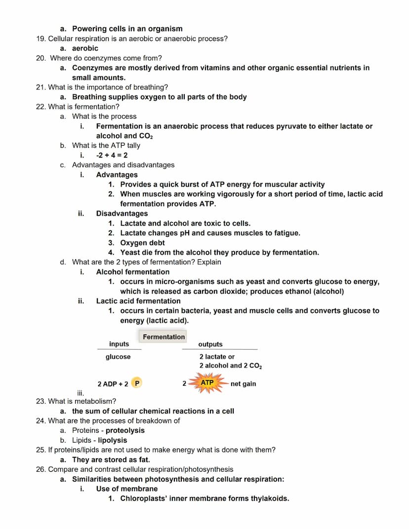 BIOL 1406 CH 8 Cellular Respiration Outline
Quick Outline
8.1 Overview of Cellular Respiration
8.2 Outside the Mitochondria: Glycolysis
8.3 